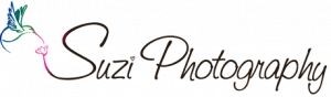 Suzi Photography